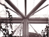 Alpinenhaus 6